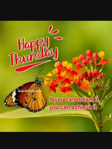 Good Day To Rise & Shine