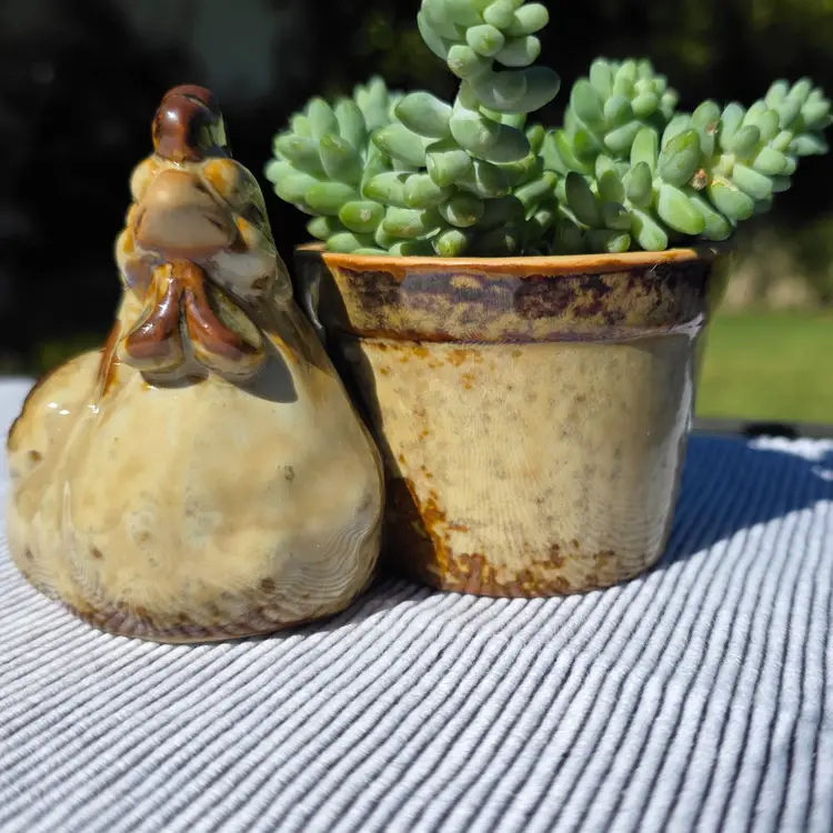 Chicken Lovers 🐔 Vintage Ceramic Egg Cup or Mini Planter