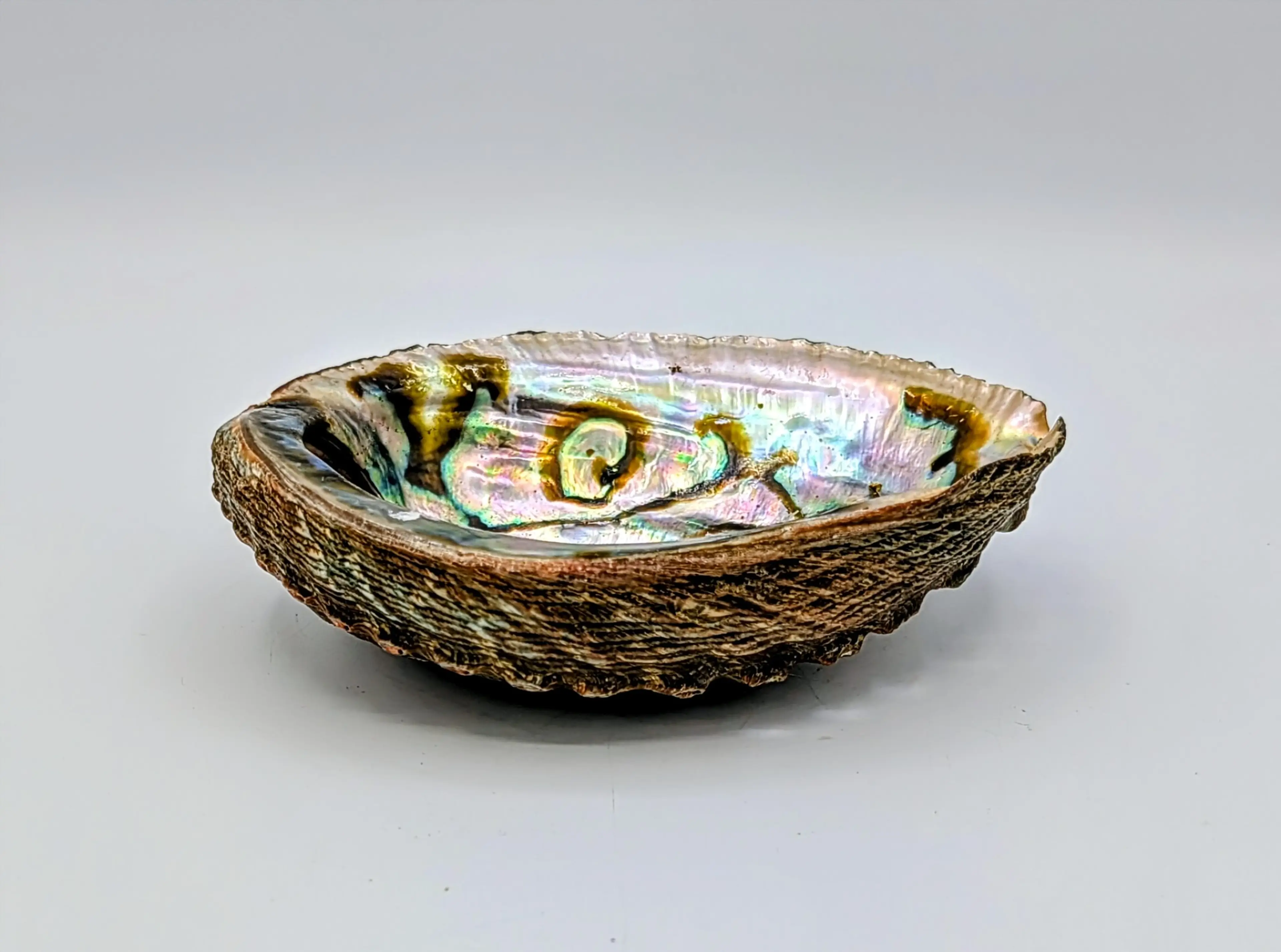 Image 3 of 6
