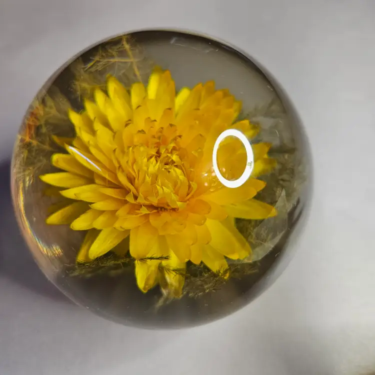 HAFOD  Grange Britain Lucite Hayflower Paperweight