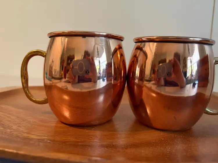 Magpie Int Stainless Steel Copper Plated Mug Cup Double Wall Coffee Made n India