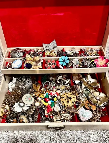 Brooches!! Let’s Dig 😍