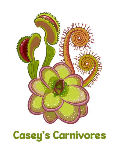 Build a Bog Garden With Me!