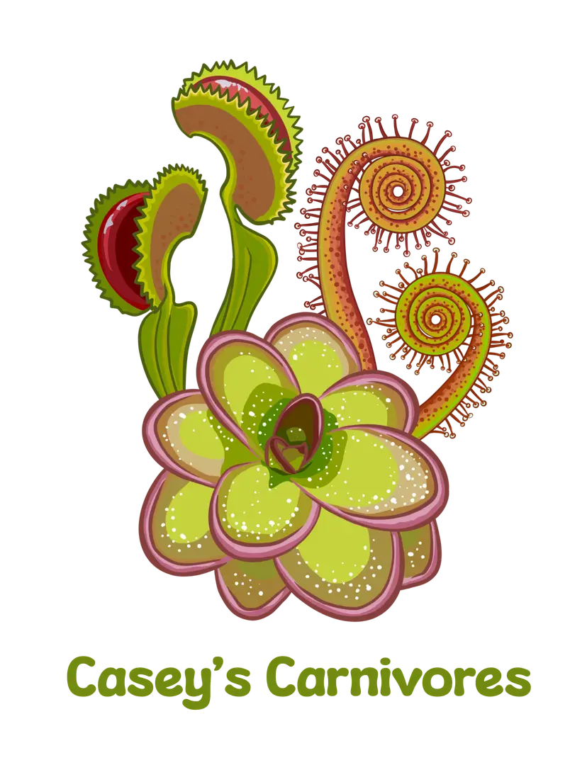 Livestream thumbnail