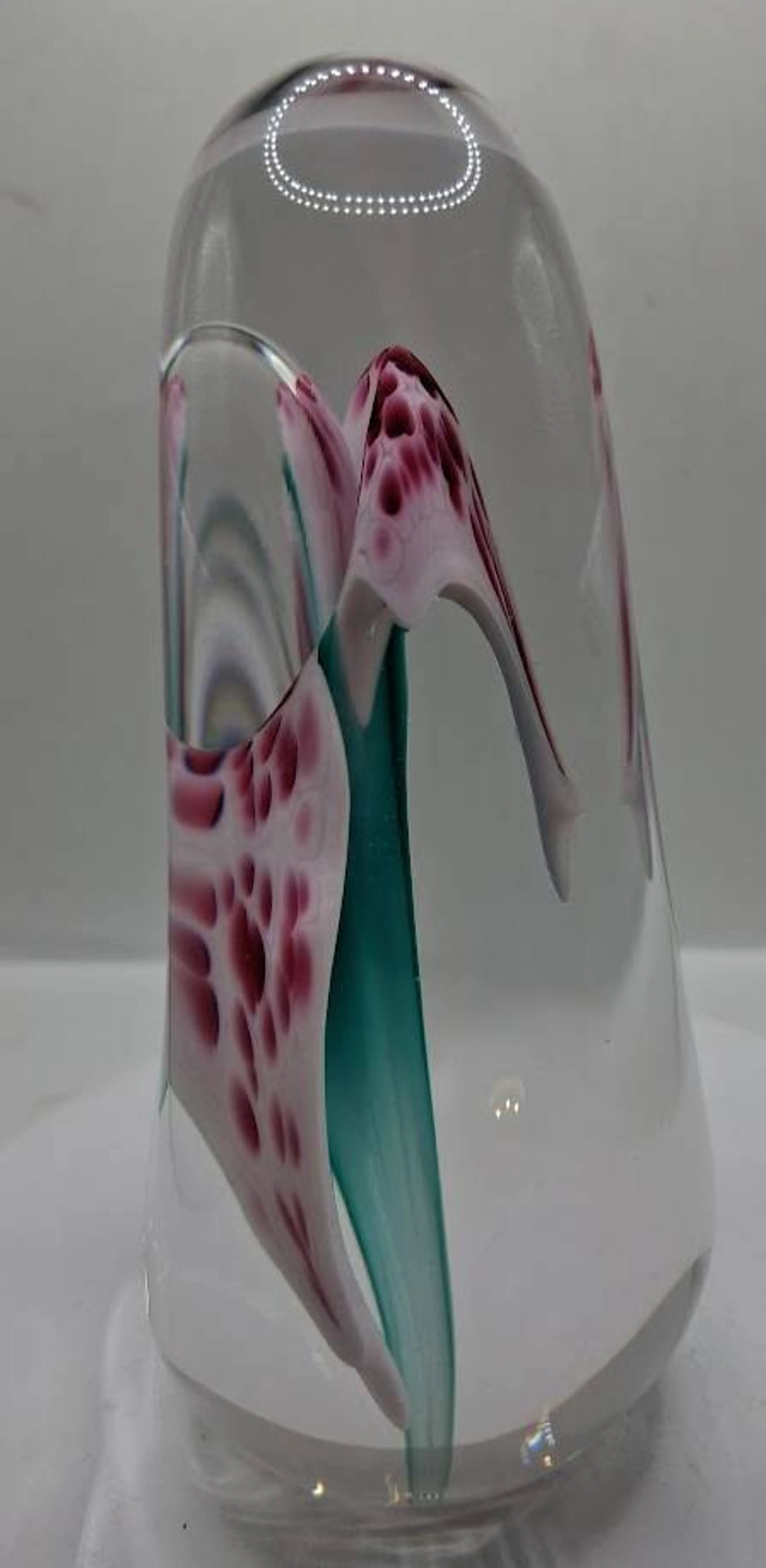 Image 3 of 8