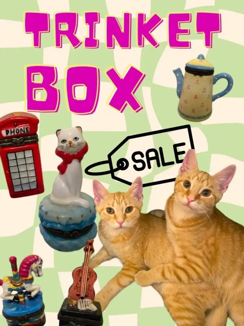 Livestream thumbnail