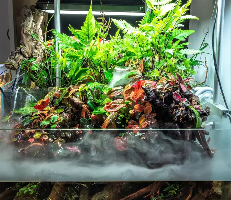 UNS Atomizer (Fogger)