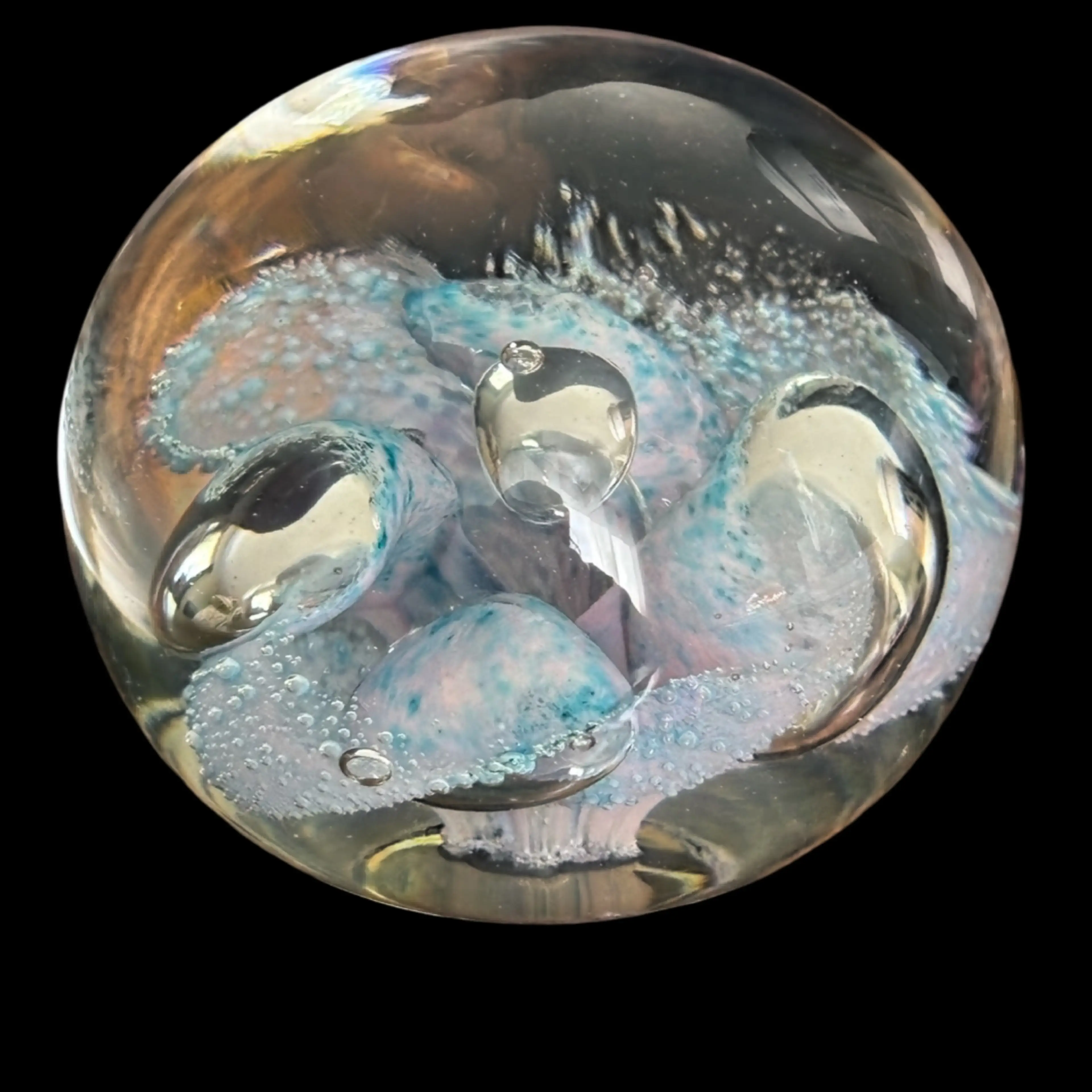 Image 1 of 7