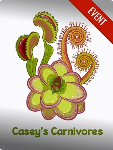 Beginning basics of carnivorous plant care