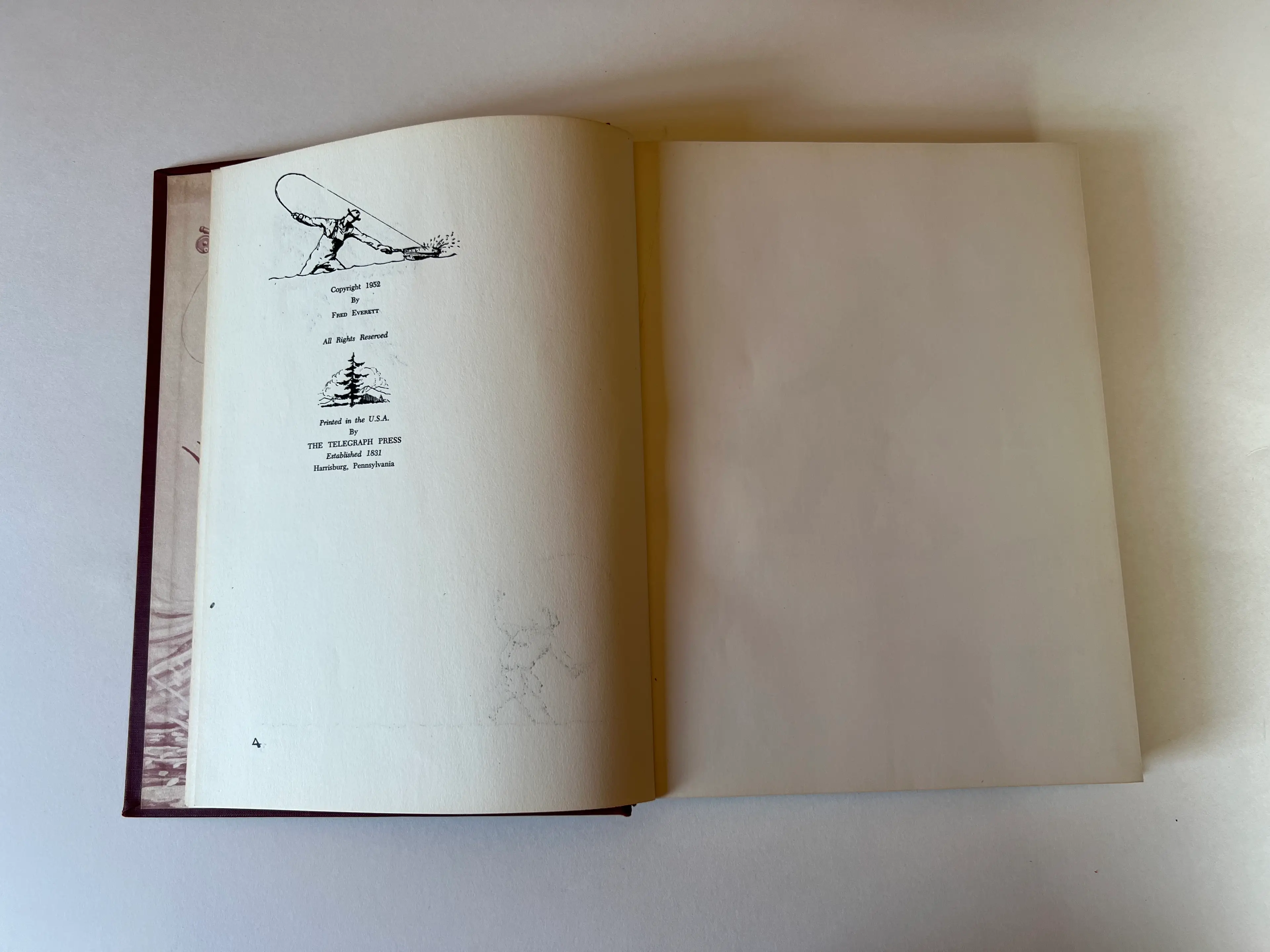 Image 4 of 12
