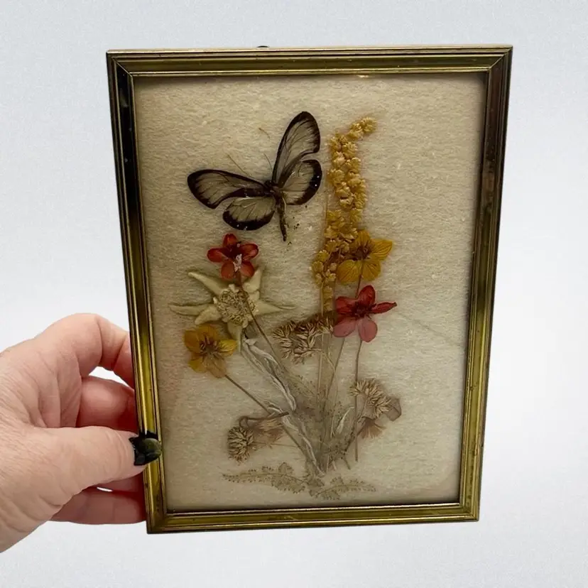 Dried Flowers And Taxidermy Butterfly In Brass Dome Frame | 7”