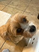 bigdaddysalmon61gmailcom