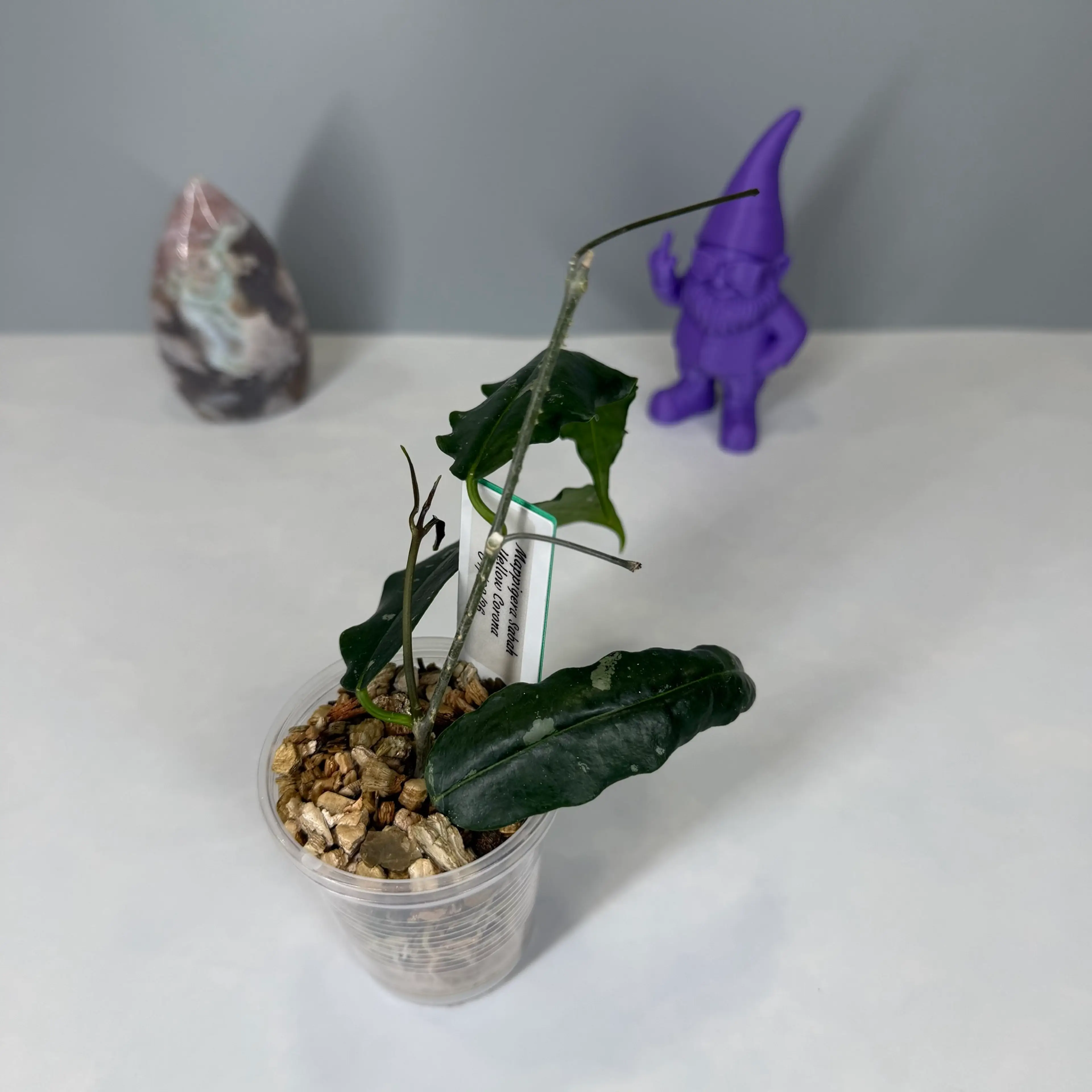 Image 2 of 3