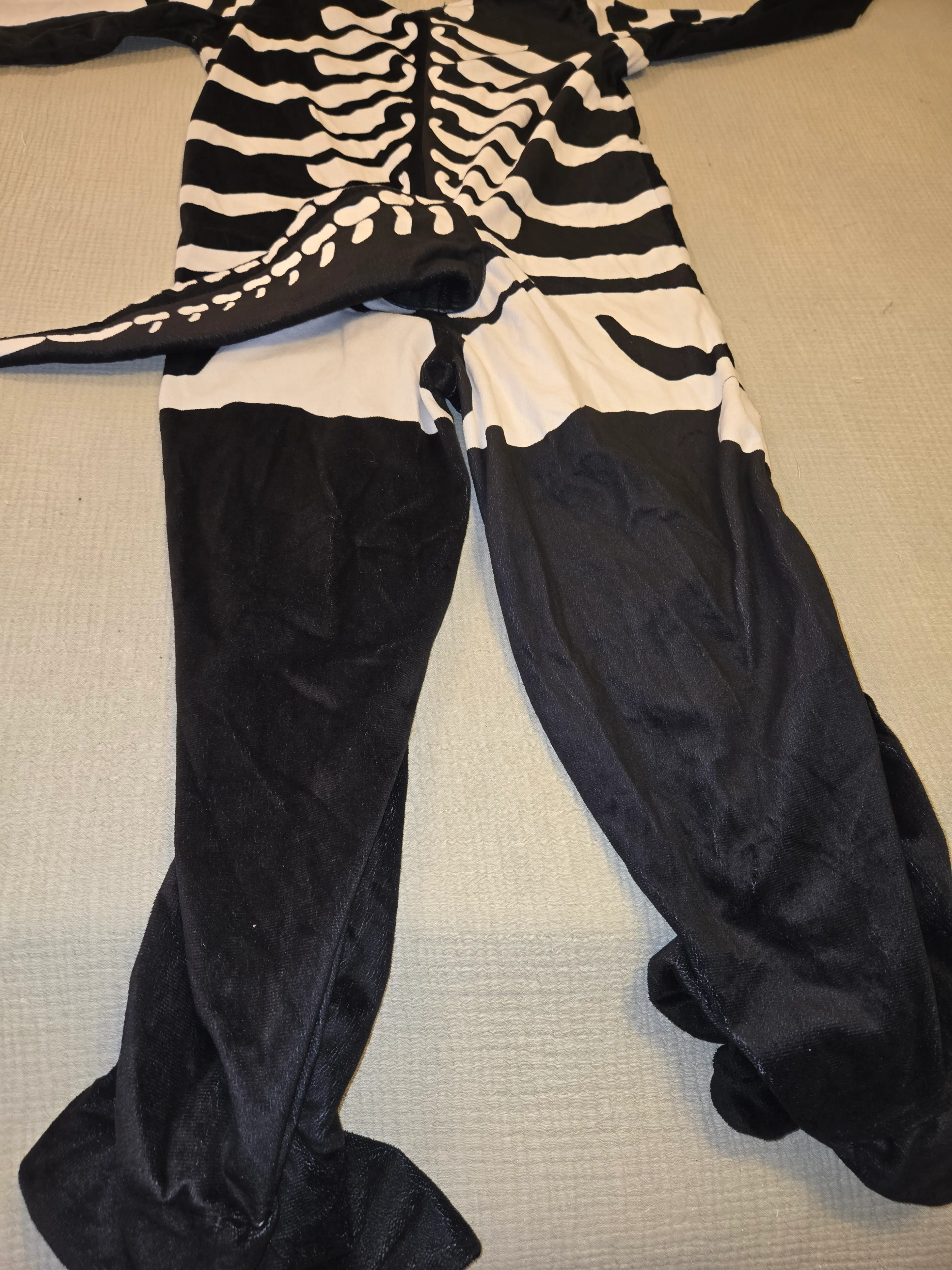 Image 3 of 7
