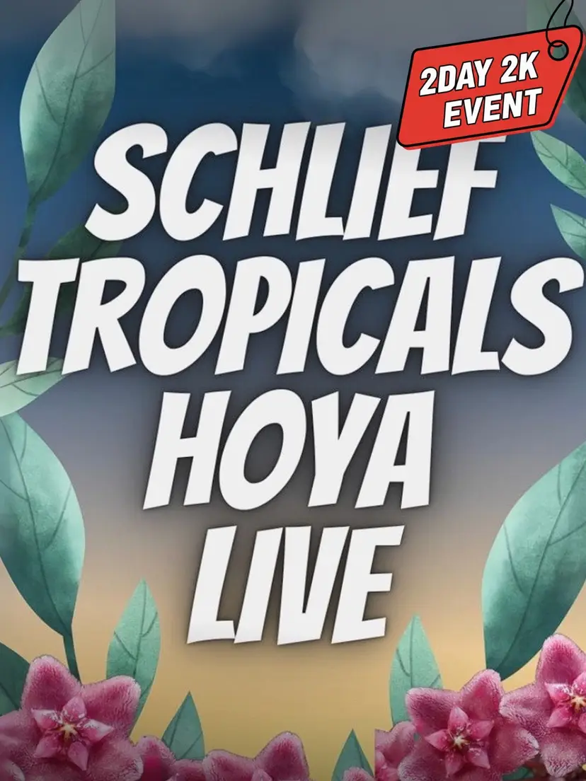 Livestream thumbnail