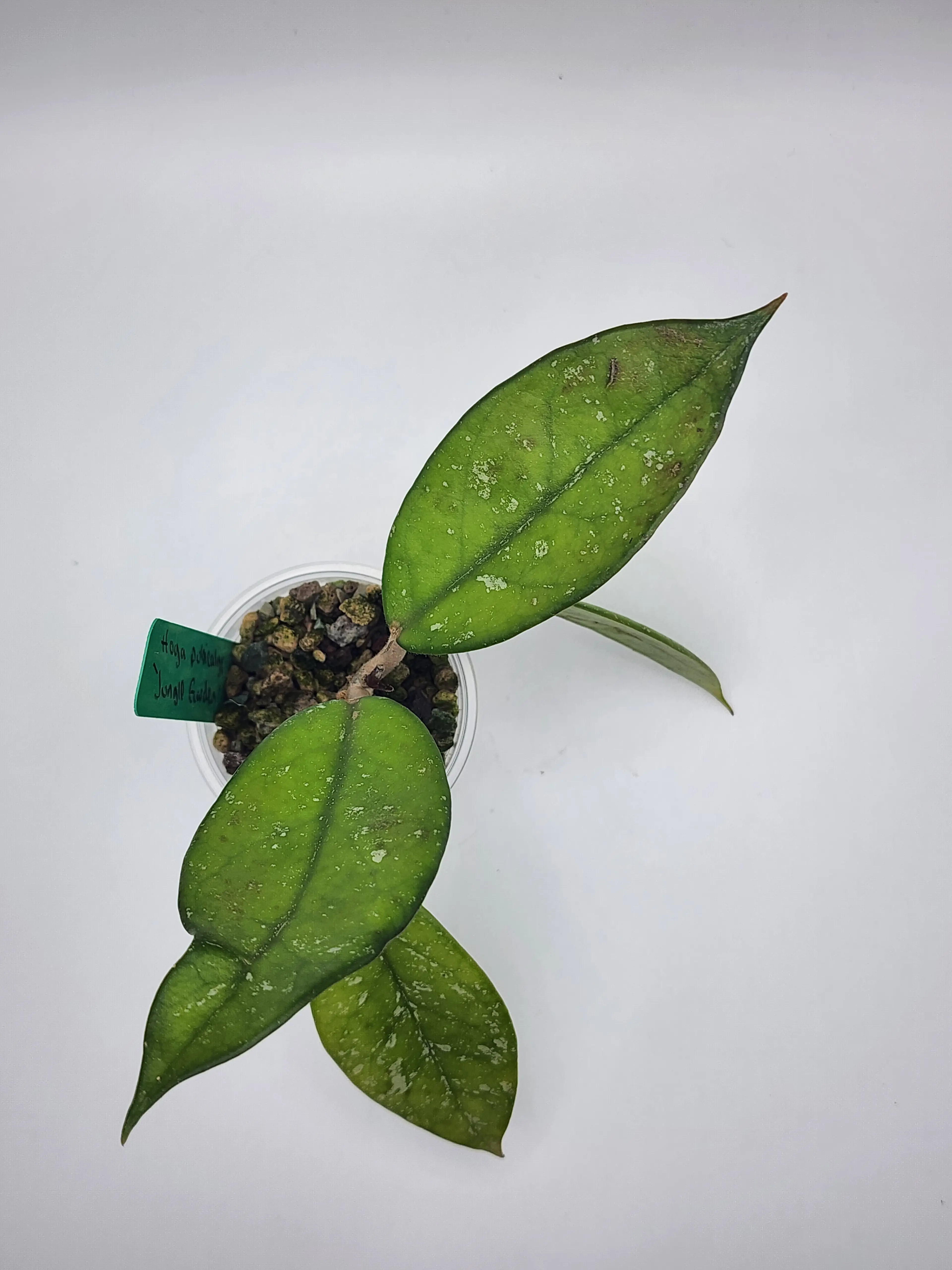 Image 4 of 4