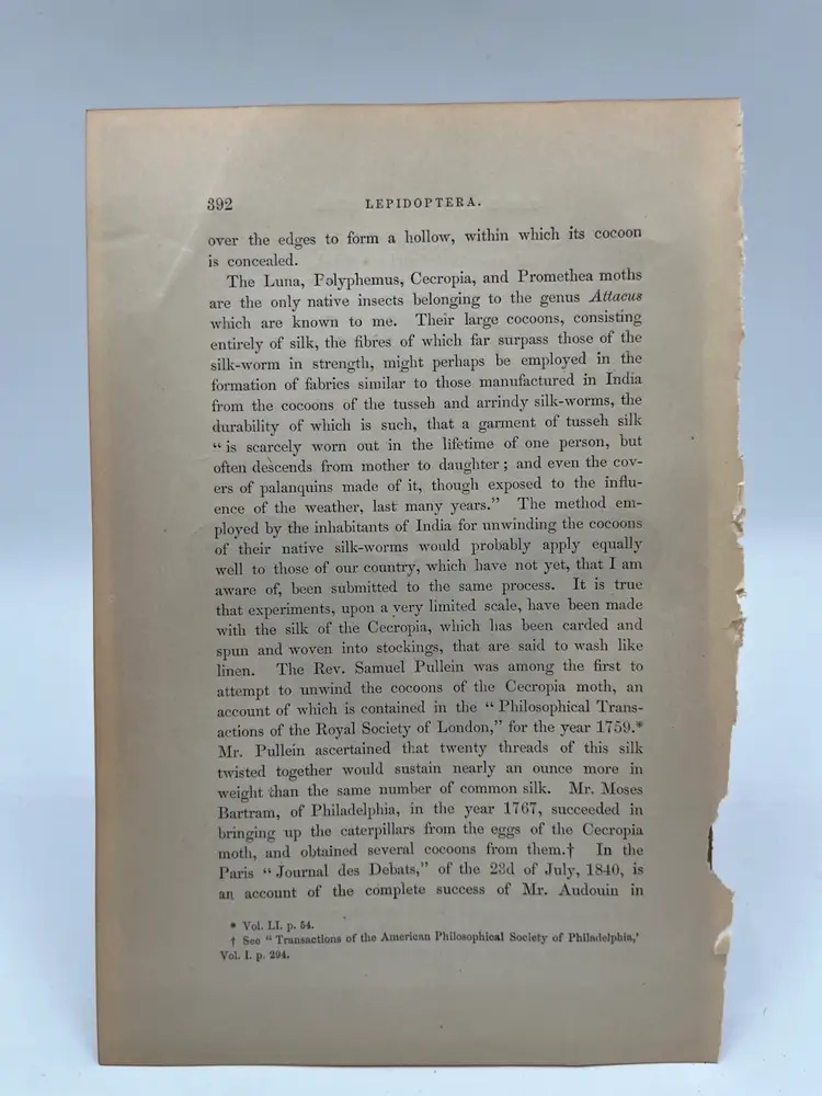 391 - Original Woodblock Print Book Page, 1862, Insects