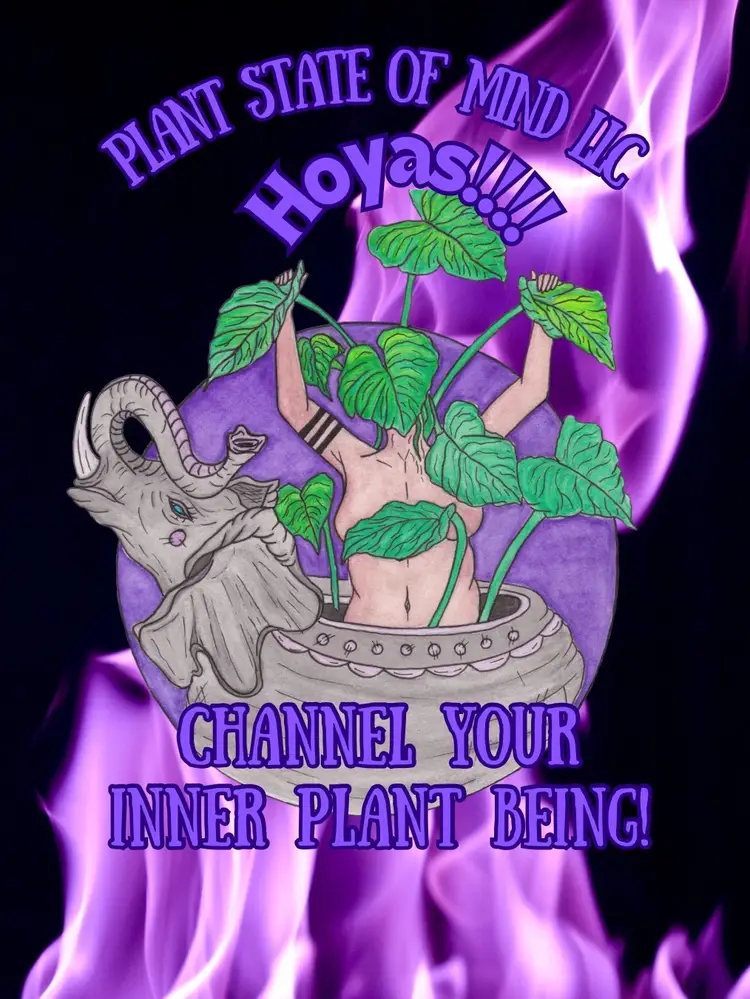 BOUGIE HOYA SUNDAY!USE This Code For Discount BOUGIE50FF 