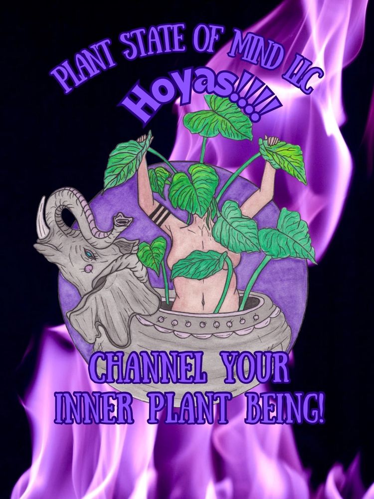 BOUGIE HOYA SUNDAY!USE This Code For Discount BOUGIE50FF