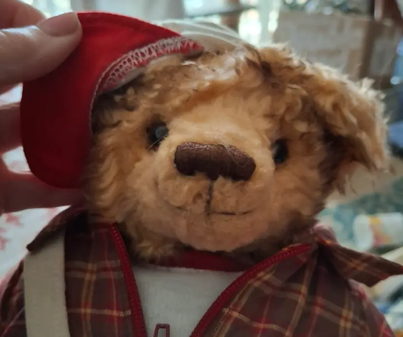 Adorable Newsbear Deliverying the Saturday Evening Post