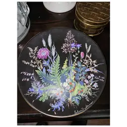 Vintage 1991 Carl Schumann Plate "Walderdbeeren im Moos" Helmut Meiner Black Floral #2221B