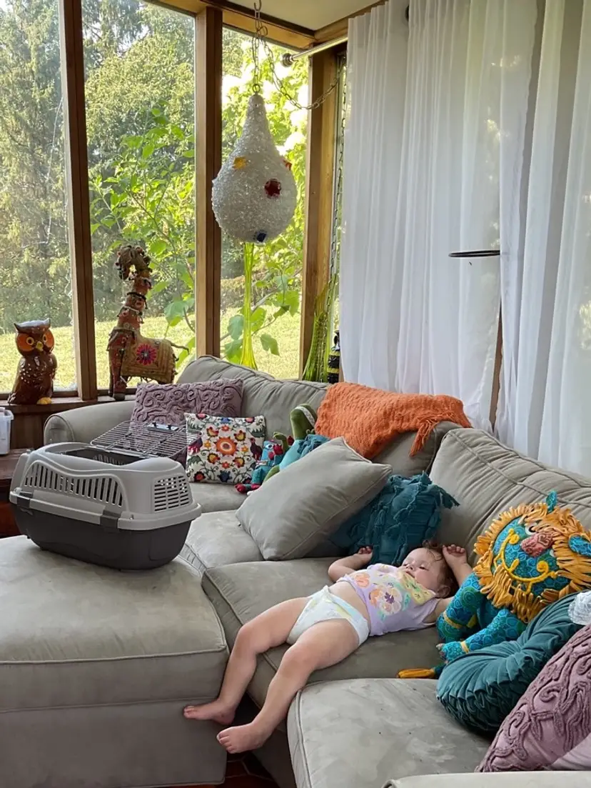 Livestream thumbnail