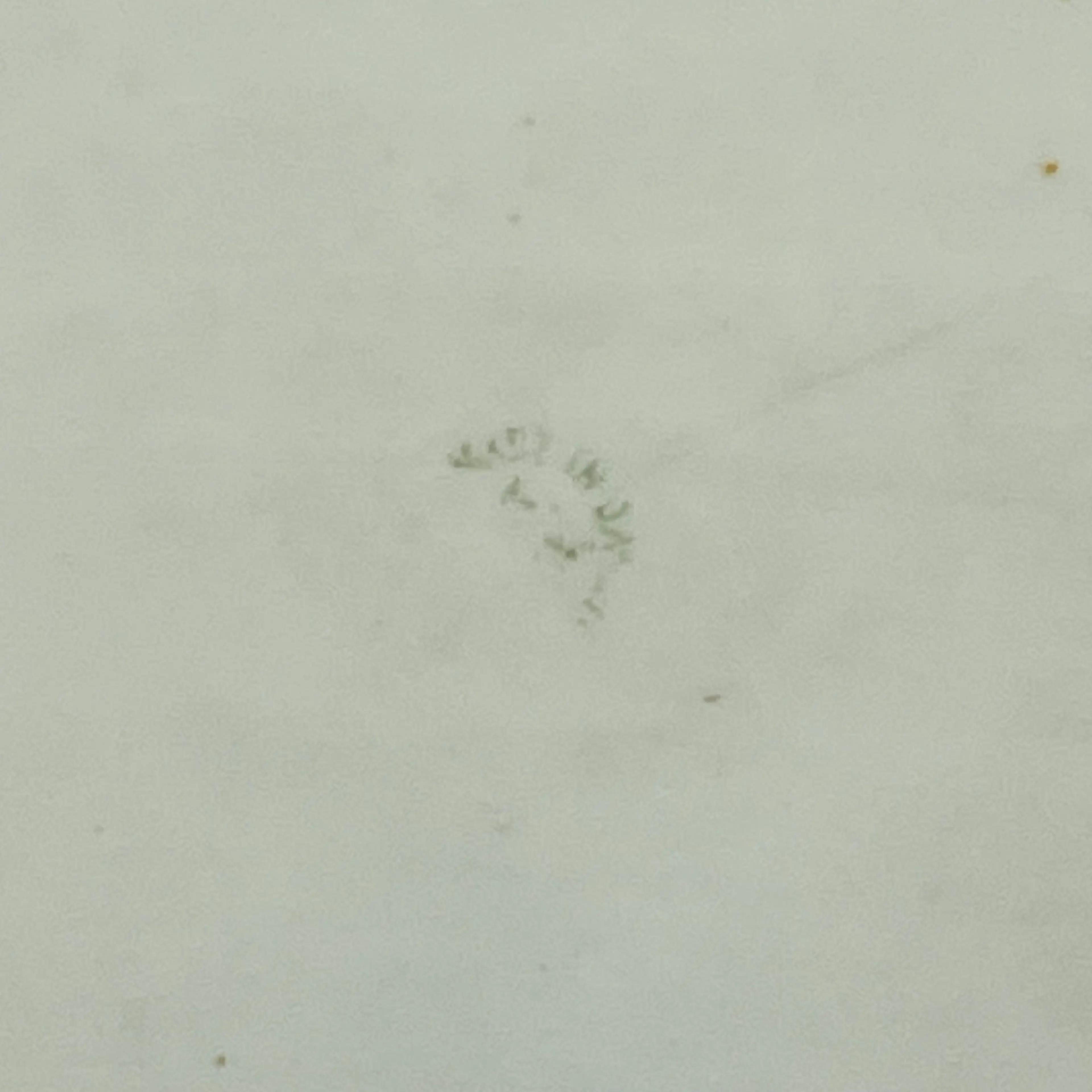 Image 5 of 9