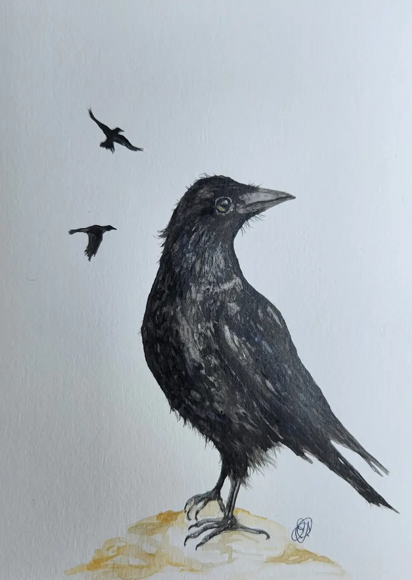 Crow Original Watercolor Painting Signed By The Artist 5x7