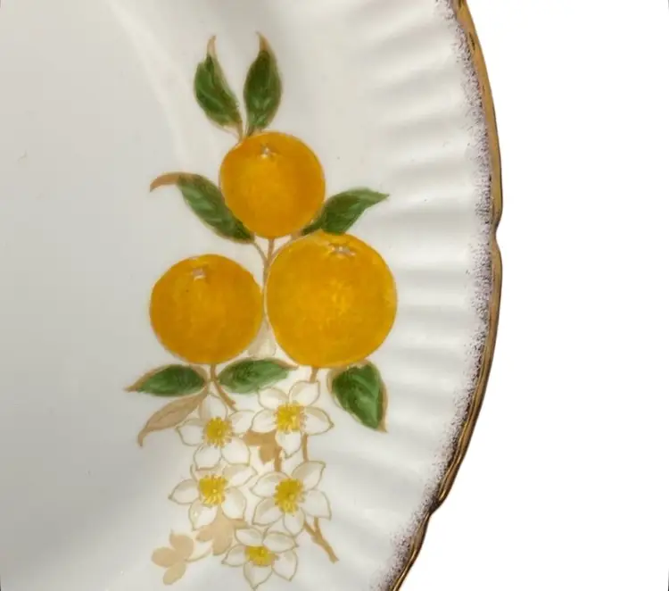 Vintage Jon Roth England Fine Bone China Dessert Plate Florida Orange & Blossom