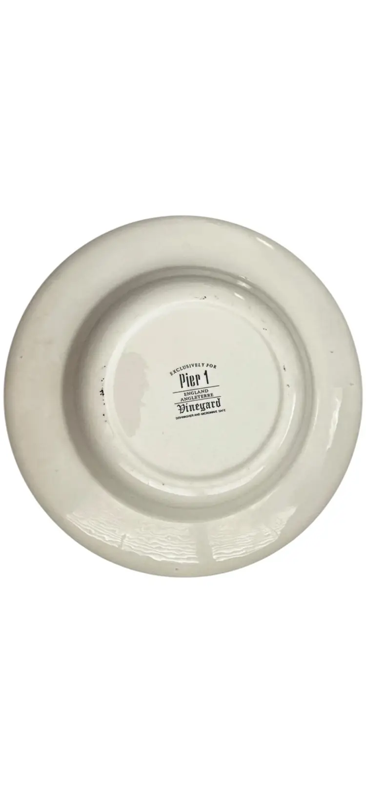 Pier 1 Vineyard Wide Rim Soup Pasta Bowl England Angleterre 10” Vineyard