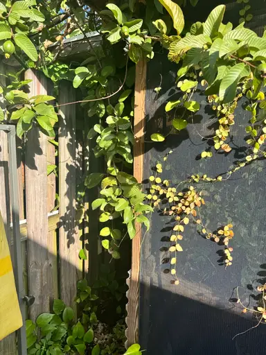 A Fall Day In sunny South Florida quick tour 