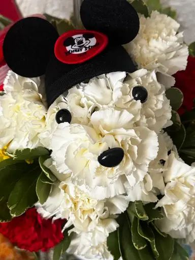 Silver & Costume 🤗🤗🤗🤗