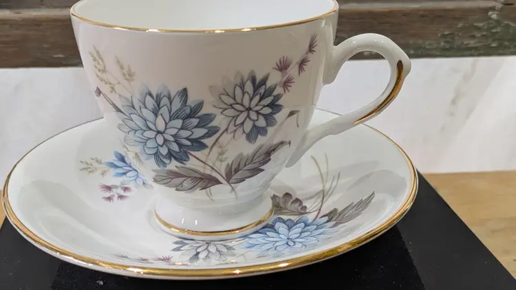 BONE CHINA CUP & SAUCER ROYAL DOVER