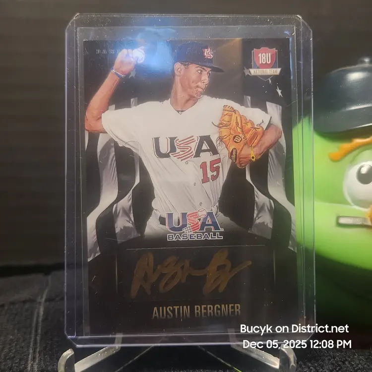 2015 Team USA Auto Black - Austin Bergner Detroit Tigers 29/49