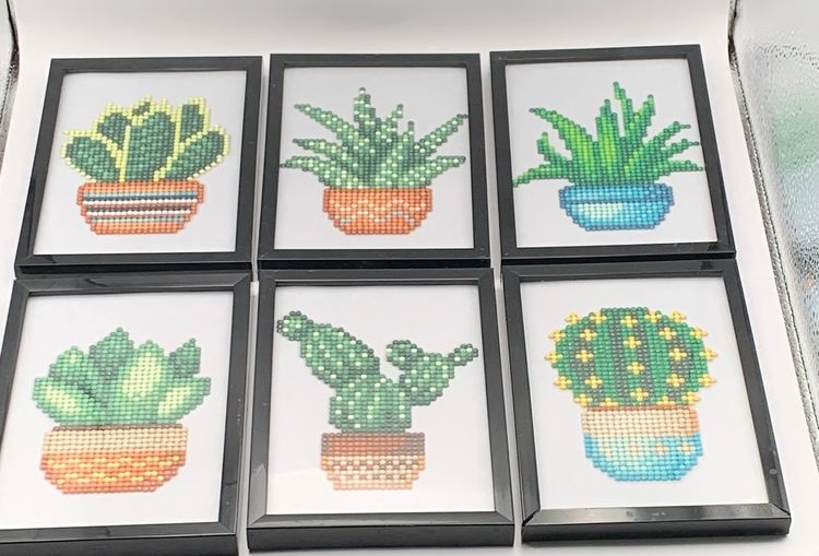 6 Diamond Art Paintings Potted Cactus Finished And Framed 4x6”