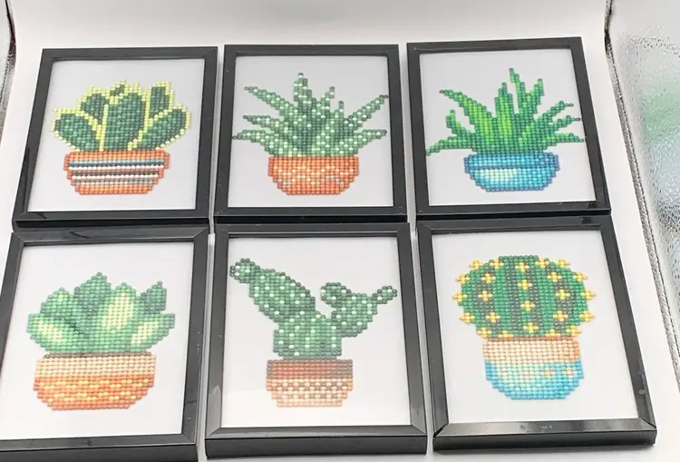 6 Diamond Art Paintings Potted Cactus Finished And Framed 4x6”