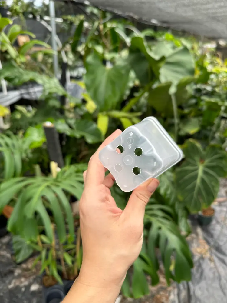 2.5” Clear Pots 5 For $3