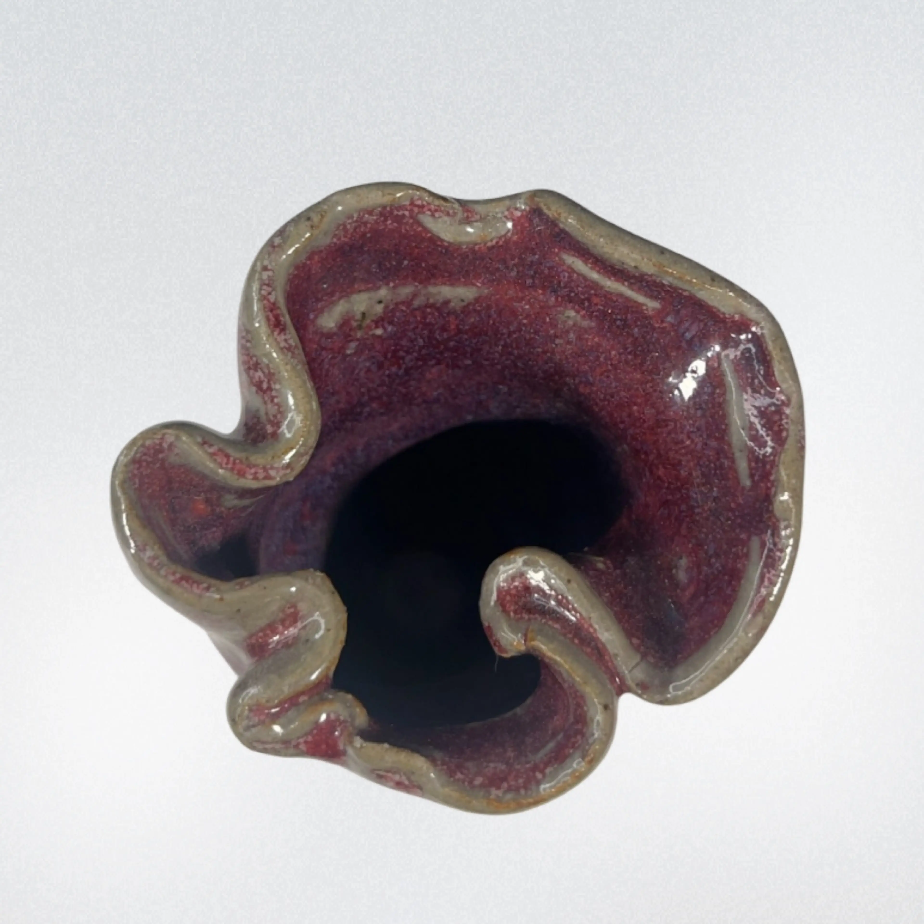 Image 4 of 5