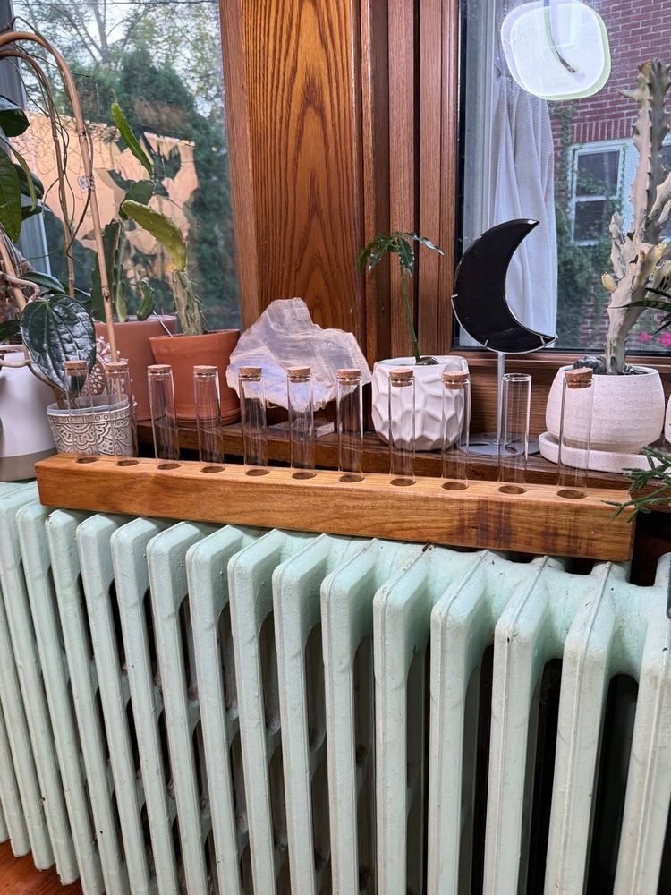 0025 Canarywood Propagation Station