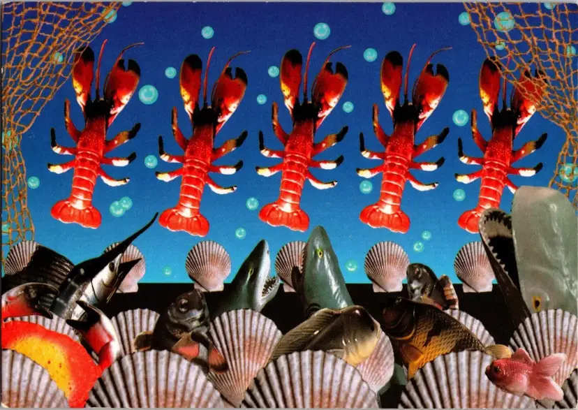 Postcard Hallmark Marine Life Lobsters Scallop Shells Sharks Whales Marlins - 1129