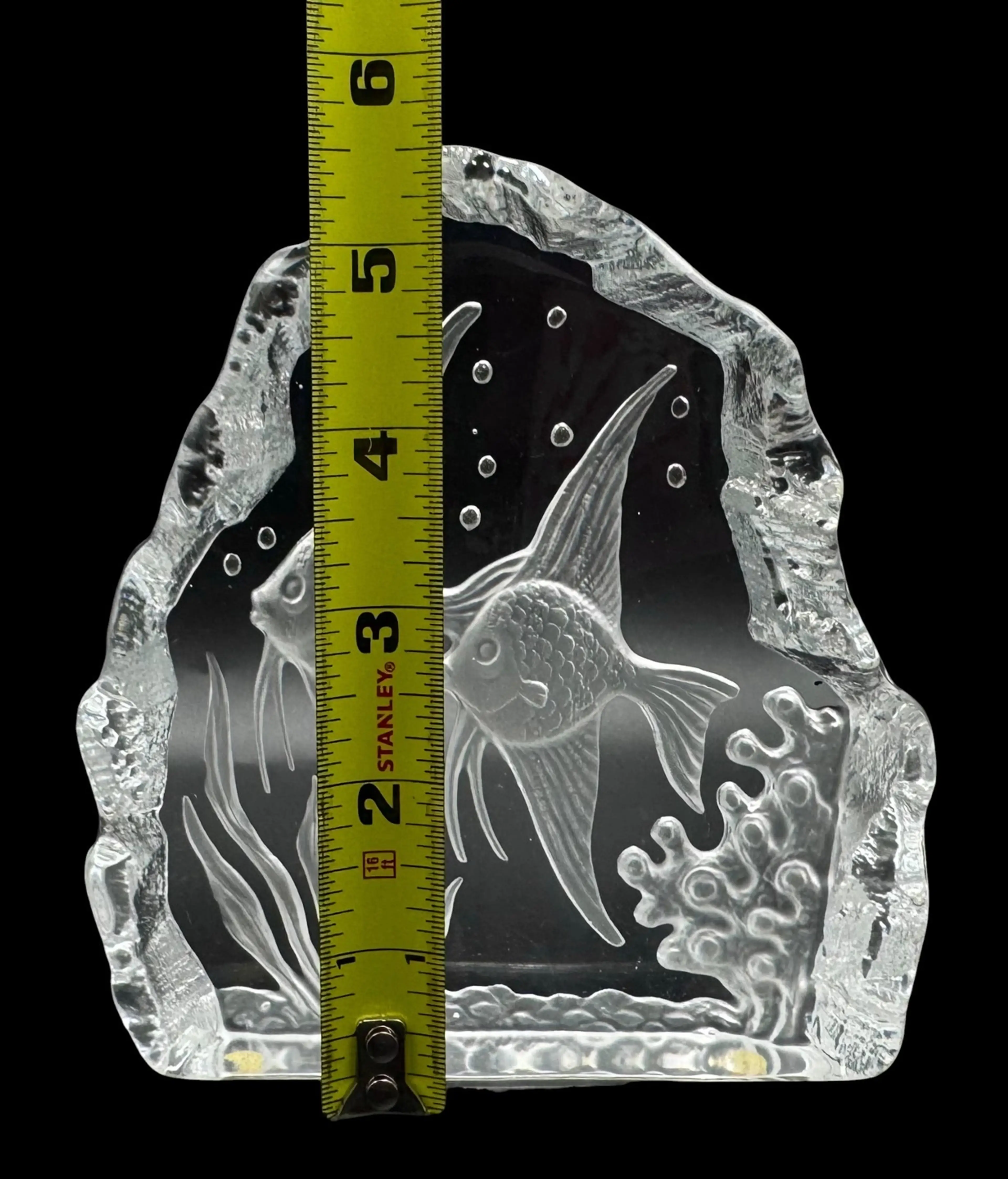 Image 5 of 6