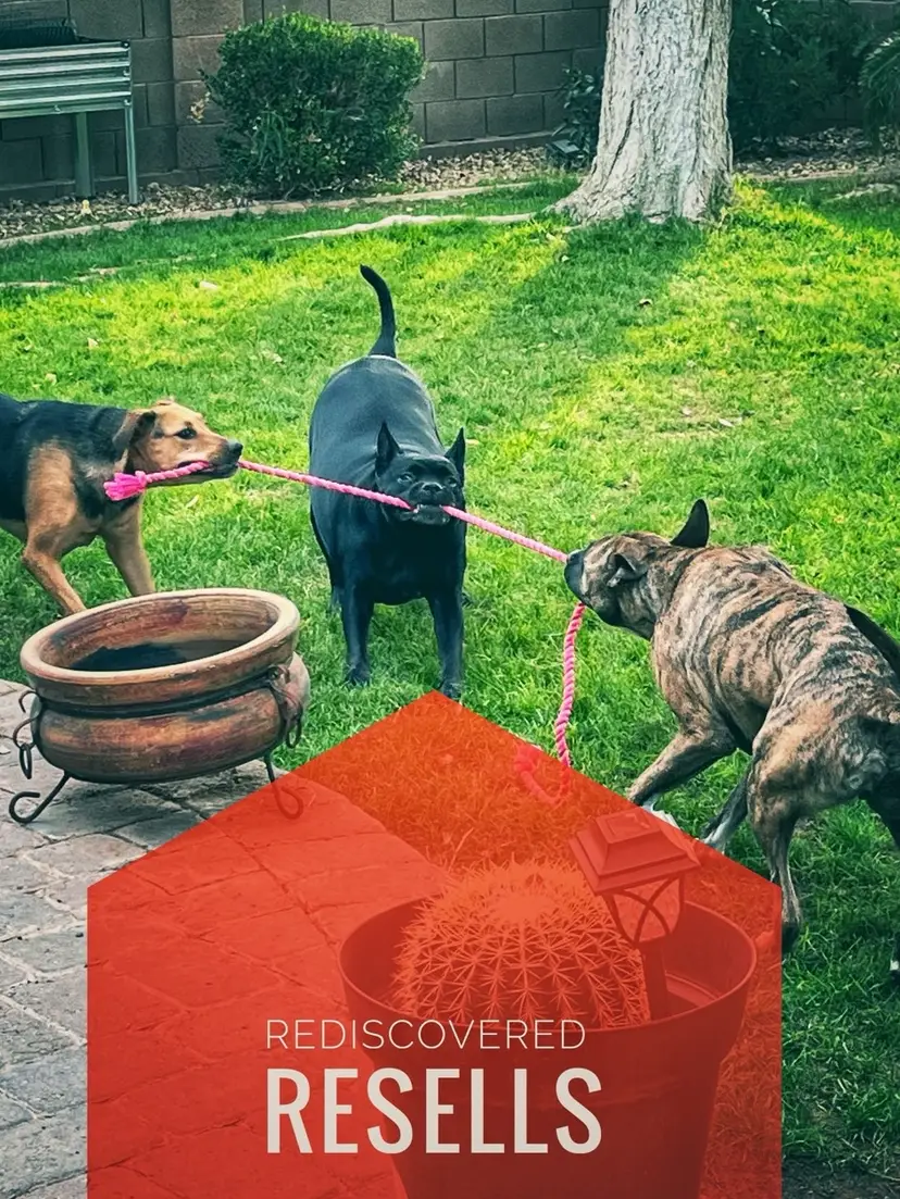 Livestream thumbnail