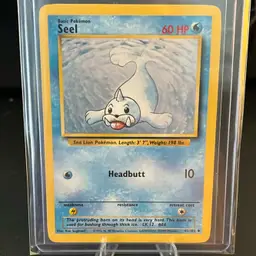Pokémon Seel 1999 Base Set #41/102