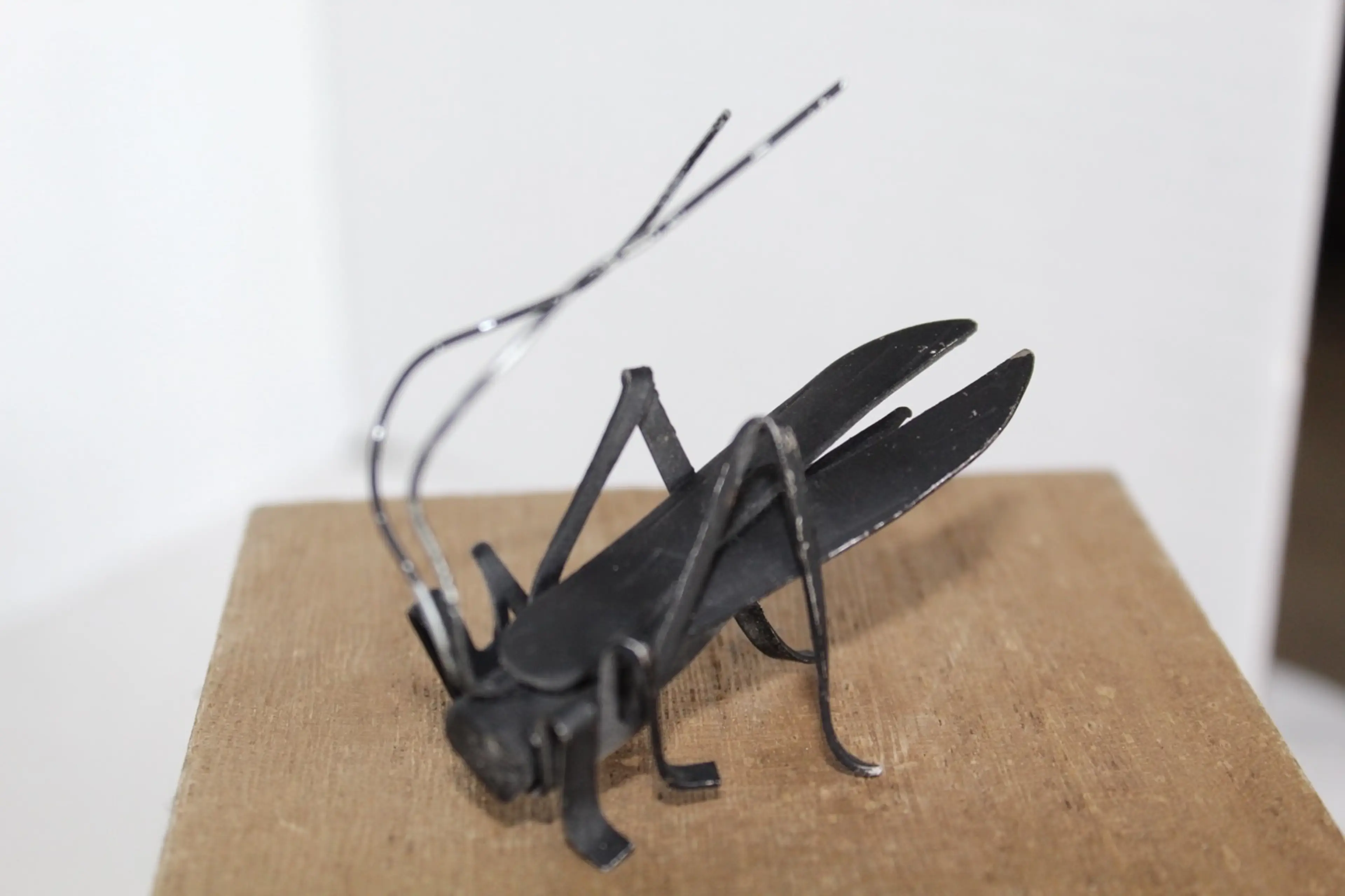Image 4 of 6