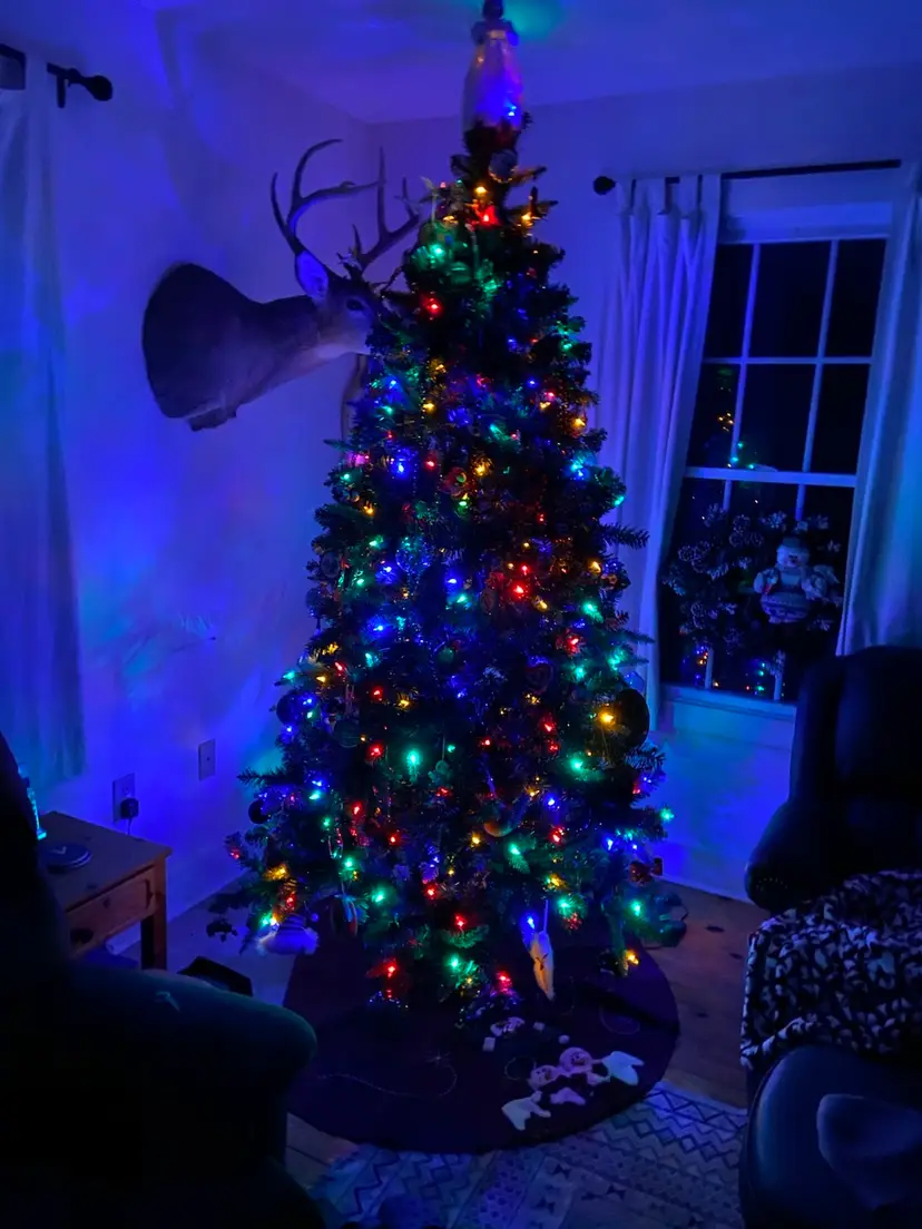 Livestream thumbnail