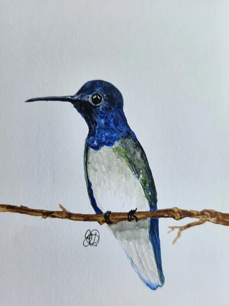 Hummingbird Original Watercolor Painting Signed By The Artist 3x4 Free Shipping