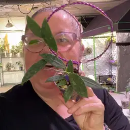 Rhi 3061,sp Davao Phillipines