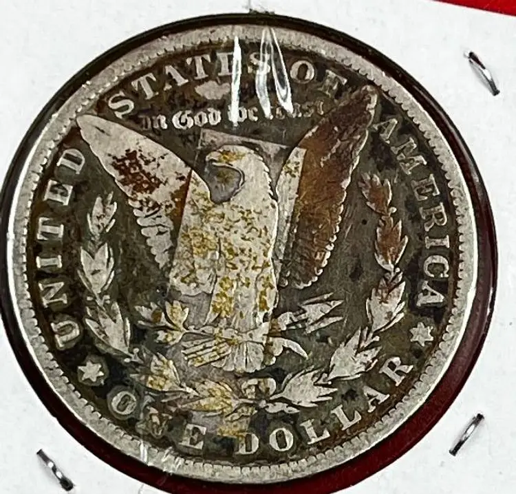 1881 Silver Mogan Dollar Average Circulated