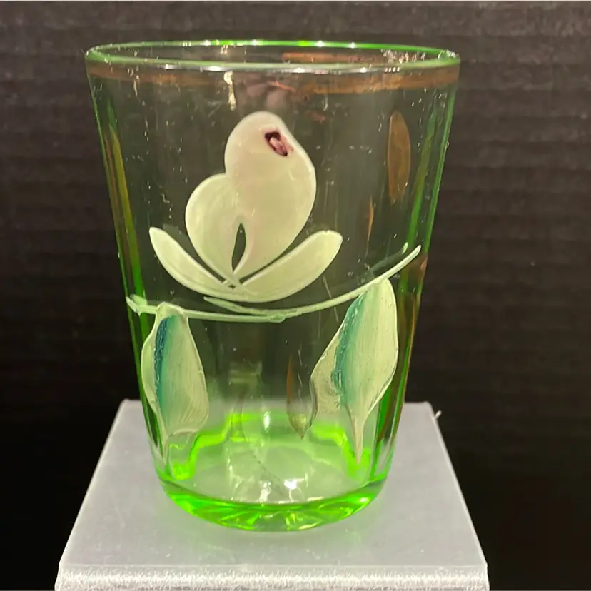 Vintage Uranium Depression Era Hand Painted Drinking Water Panel Glass 4” Tall.