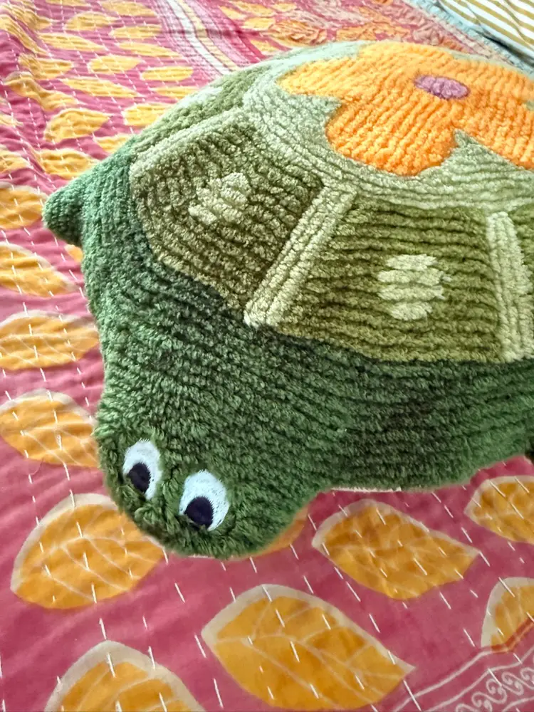 Urban Outfitters Turtle Pillow